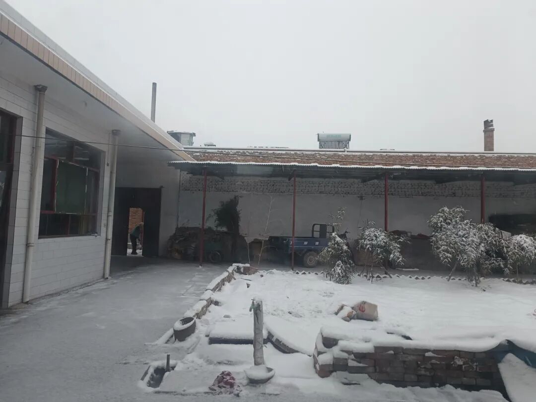 冬雪院子（2023年）.jpg